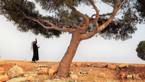 resilienza resilience beduini bedouin palesitne valutazione evaluation pdevelopment cooperazione sviluppo