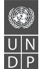 UNDP_2026
